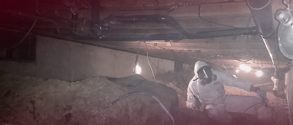 DAI Restore Team Member Working on Mold Damage and Restoration in an Attic