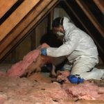 DAI-mold-damage-restoration-attic