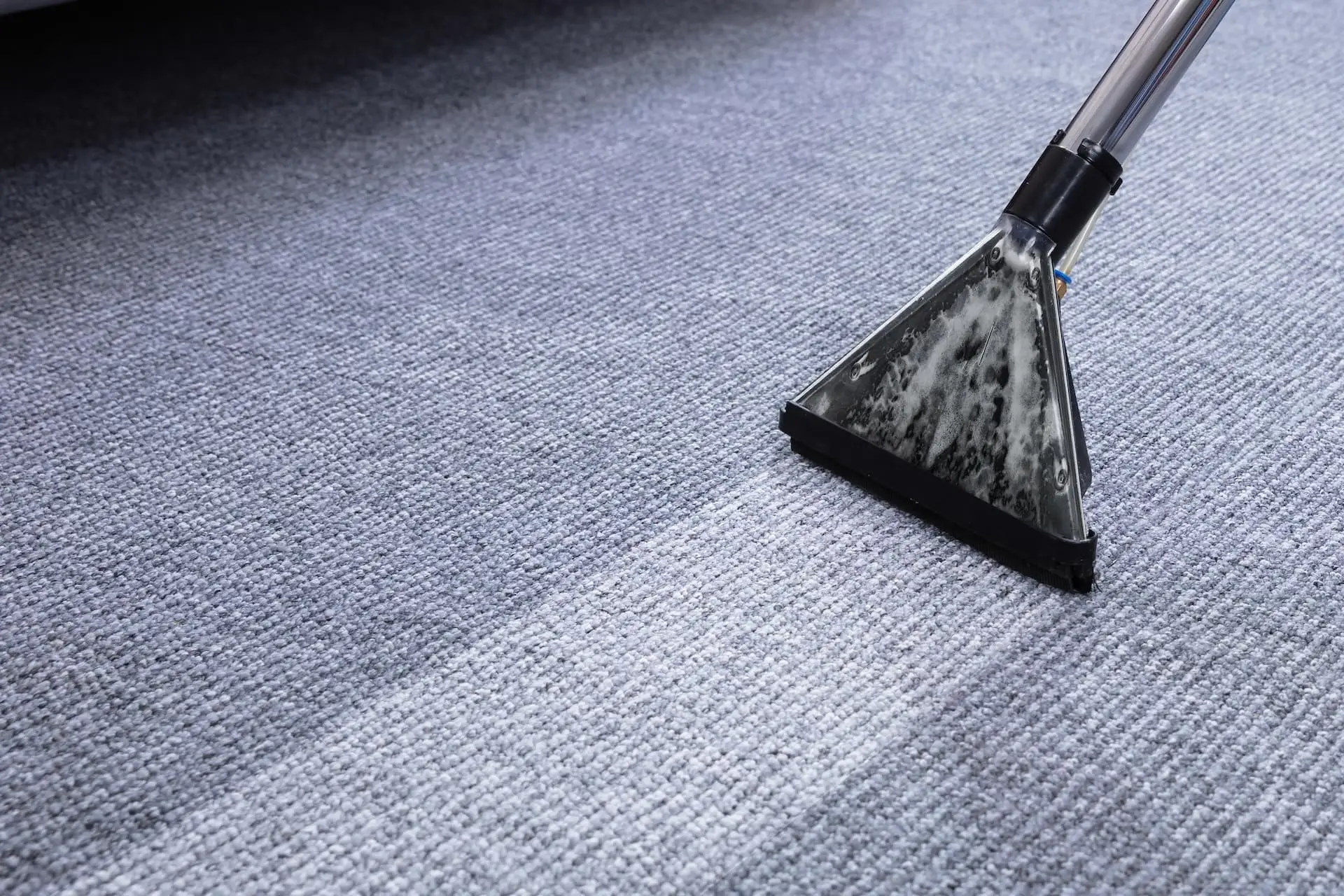 A vacuum cleaner head cleaning the carpet, leaving behind visible lines