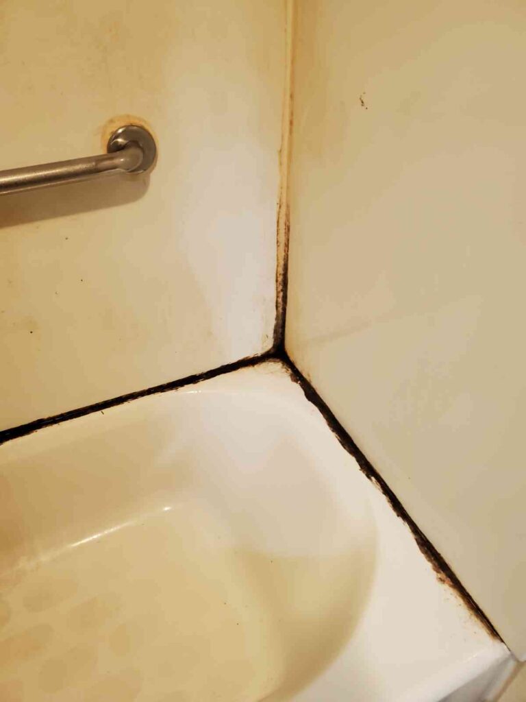 mold bathtub