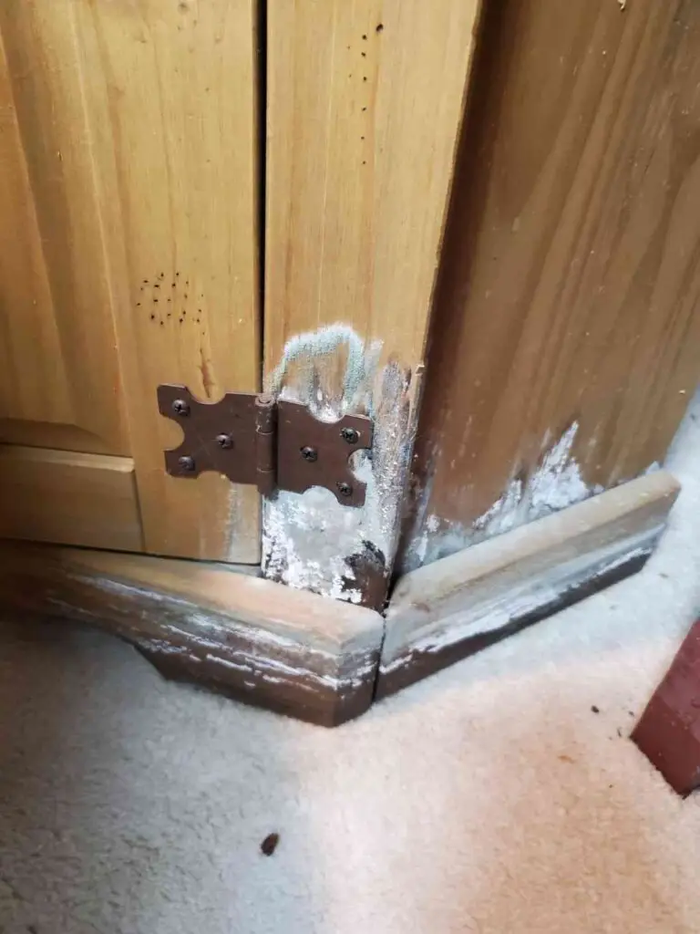 The image shows the corner of a wooden structure, with a metal hinge or latch visible and a buildup of what appears to be frost or mold on the surface.
