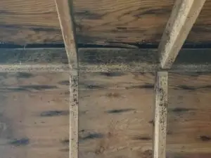 An image showing the interior of a building with visible damage to the ceiling and walls. The ceiling appears to be partially collapsed, with exposed wooden beams and debris scattered on the floor.
