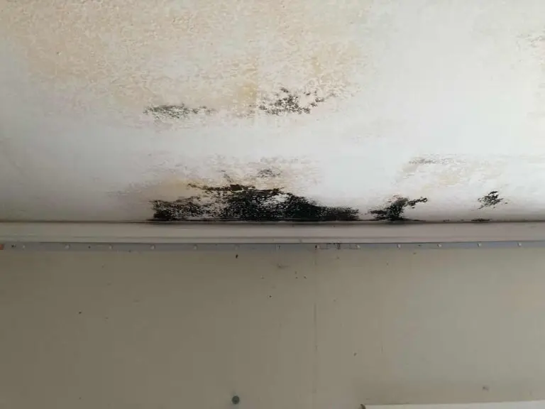An image showing a wall that is heavily damaged and covered in mold or mildew, with discoloration and deterioration visible.