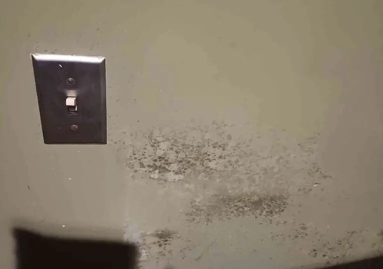 An image showing a light switch and electrical outlet on a wall that is heavily damaged and covered in mold or mildew.