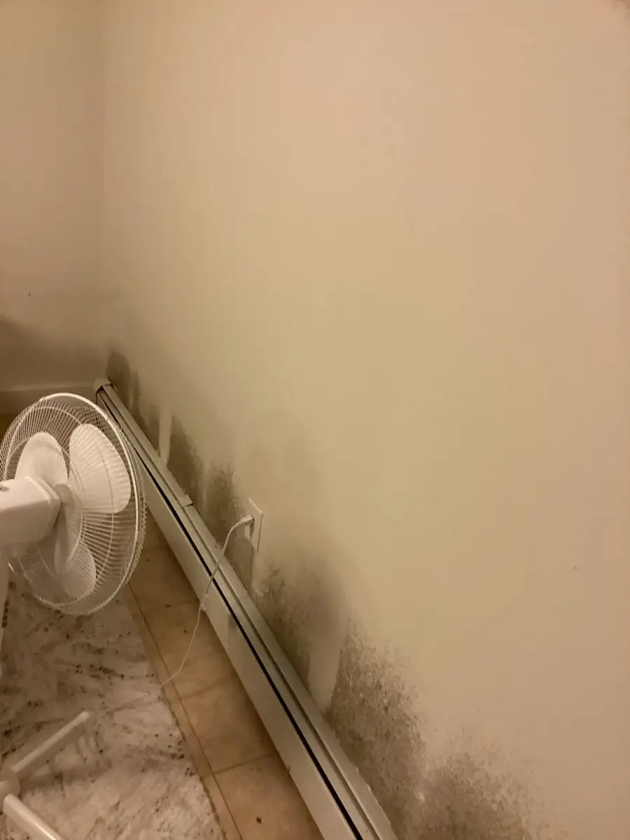 A close-up view of a corner of a room, showing a white wall, floor, and a fan mounted on the wall.