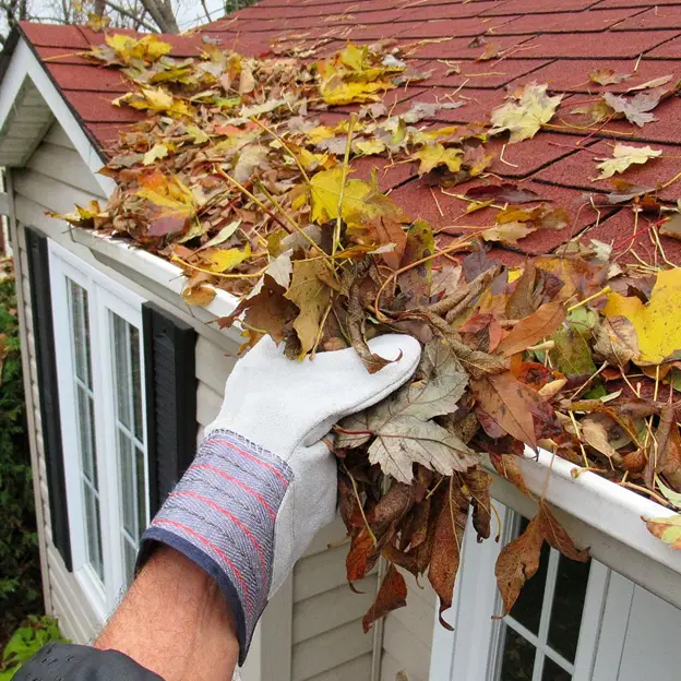 Person holding leaves that were removed from a gutter during property maintenance