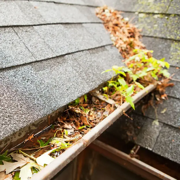 leaves filling up and clogging up the gutters causing fall hazardous risks