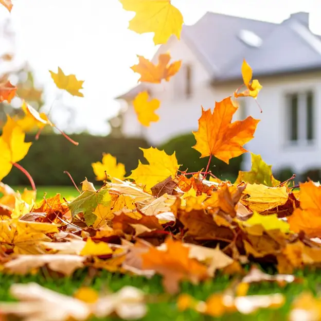 fall leaves piling up in the yard of a property