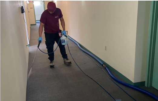 A worker wearing gloves sprays liquid onto a carpeted hallway floor using a handheld sprayer. Blue hoses run along the wall, connected to cleaning or restoration equipment. The setting appears to be an indoor corridor with beige walls and green trim, suggesting carpet cleaning or water damage treatment in progress.