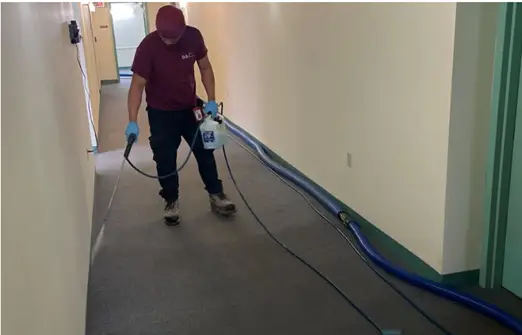 A worker wearing gloves sprays liquid onto a carpeted hallway floor using a handheld sprayer. Blue hoses run along the wall, connected to cleaning or restoration equipment. The setting appears to be an indoor corridor with beige walls and green trim, suggesting carpet cleaning or water damage treatment in progress.